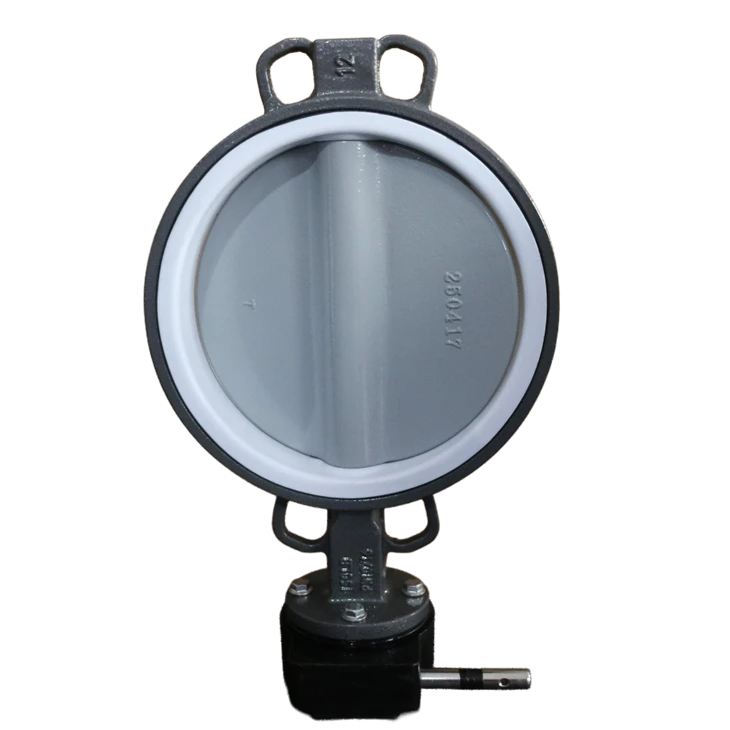 Cast Steel Wafer Butterfly Valve