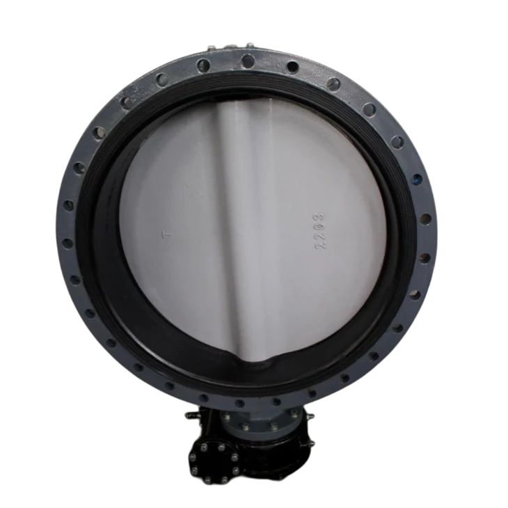 Nylon Coated Disc Butterfly Valve