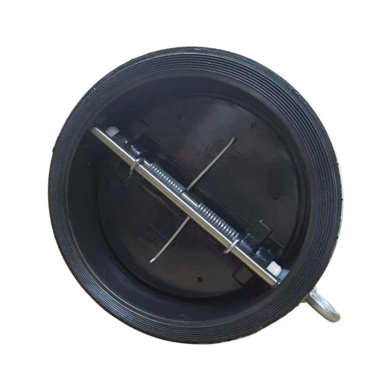 Carbon Steel Fully Lined EPDM Wafer Check Valve