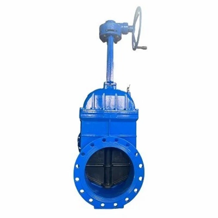 productcate-1-1 Cast Steel Gear Operated Gate Valve