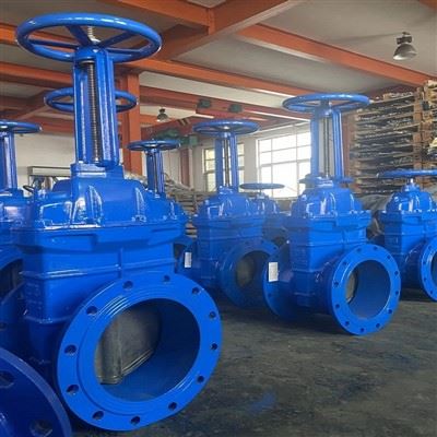 Ductile Iron Flanged Resilient Wedge Gate Valve