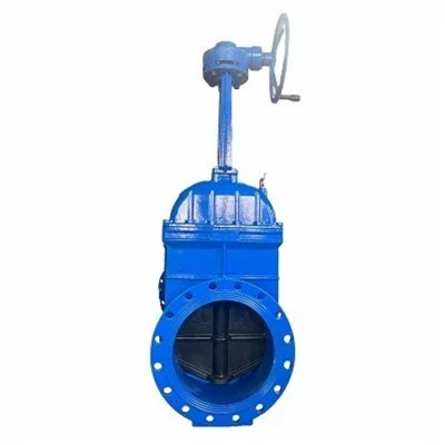 Stainless Steel Bolted Bonnet Gate Valve