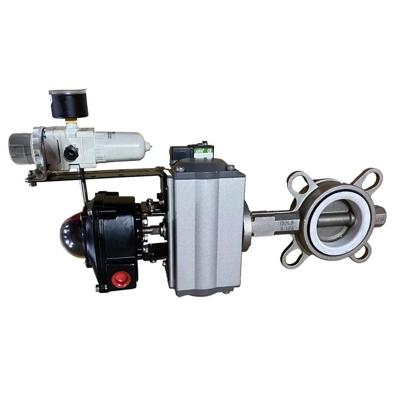 SS PTFE Wafer Valve FRL